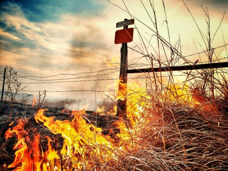 Dramatic image of a grass fire blazing near a barbed wire fence in a rural Kansas field.